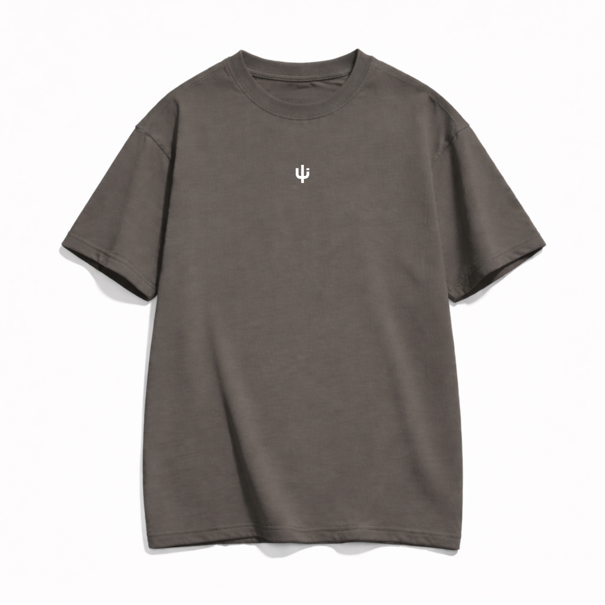 Mandacaru Oversized T-shirt NO FILTER - RAW | Grey